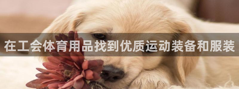 欧陆娱乐打什么方案赚钱：在工会体育用品找到优质运动装