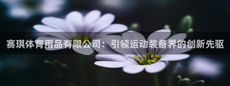 欧陆娱乐登录平台有哪些：赛琪体育用品有限公司：引领运