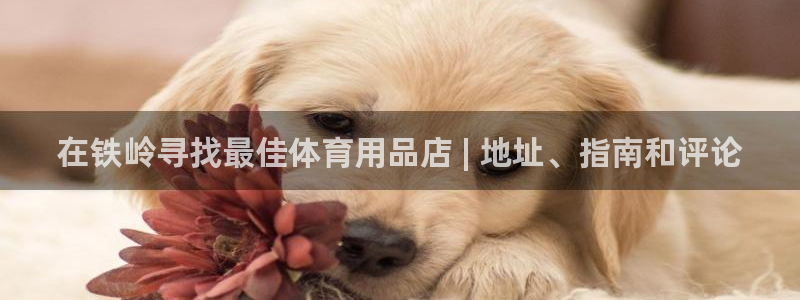 欧陆娱乐官网入口：在铁岭寻找最佳体育用品店 | 地址