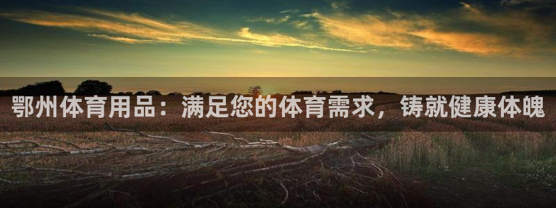 欧陆娱乐怎么注册会员账号啊：鄂州体育用品：满足您的体