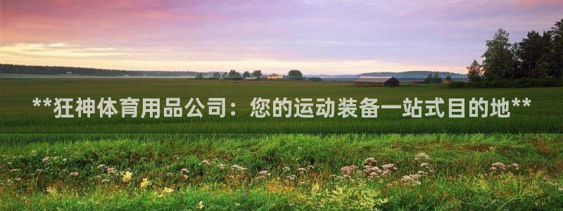 欧陆官网下载：**狂神体育用品公司：您的运动装备一站