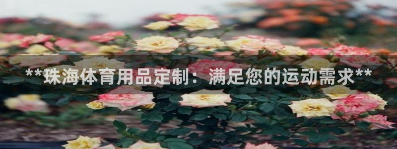 欧陆平台：**珠海体育用品定制：满足您的运动需求**