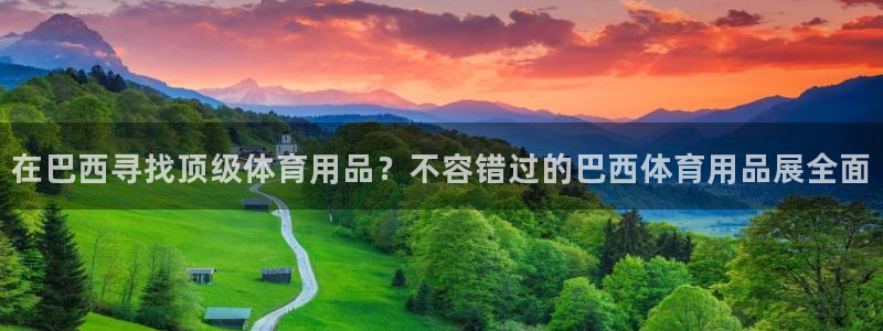 欧陆娱乐平台登陆地址在哪里：在巴西寻找顶级体育用品？
