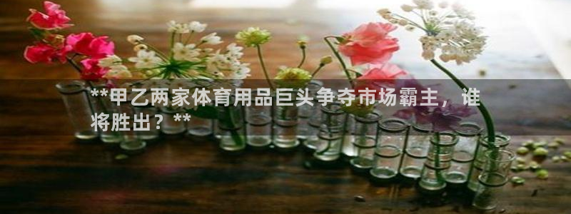 欧陆娱乐平台官网入口：**甲乙两家体育用品巨头争夺市