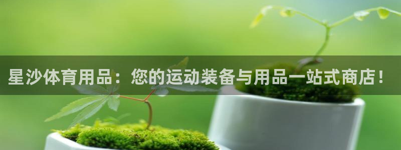 欧陆娱乐平台登陆地址在哪看：星沙体育用品：您的运动装