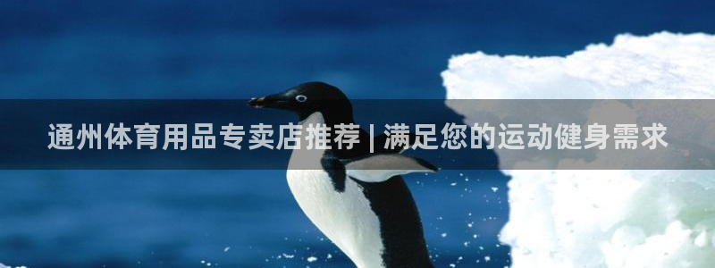 欧陆娱乐代理 贴吧：通州体育用品专卖店推荐 | 满足