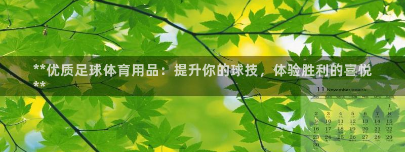 欧陆娱乐注册代理多少钱一个月：**优质足球体育用品：