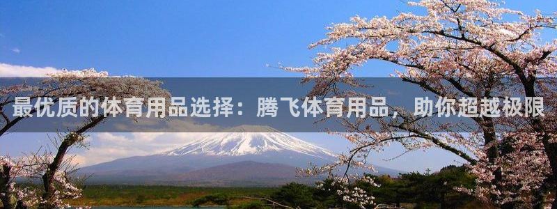 欧陆娱乐官方网站首页：最优质的体育用品选择：腾飞体育