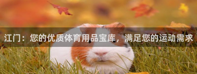 欧陆娱乐怎么注册帐号：江门：您的优质体育用品宝库，满