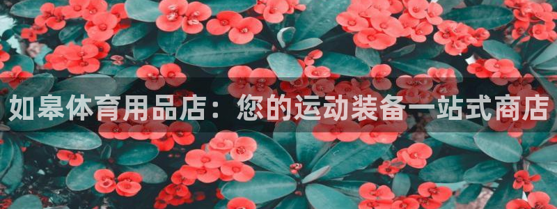 欧陆娱乐出款：如皋体育用品店：您的运动装备一站式商店