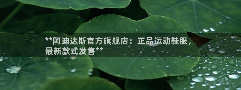 欧陆娱乐注册代理多少钱一个月：**阿迪达斯官方旗舰店
