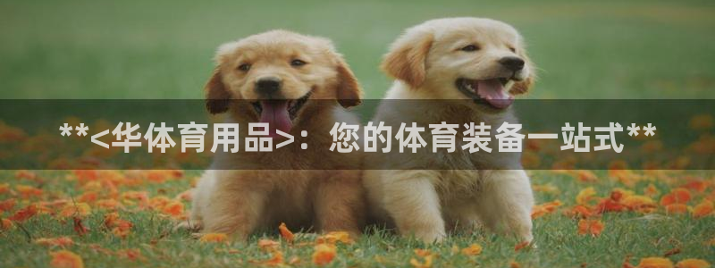 欧陆娱乐脚本下载：**<华体育用品>：您的体育装备一