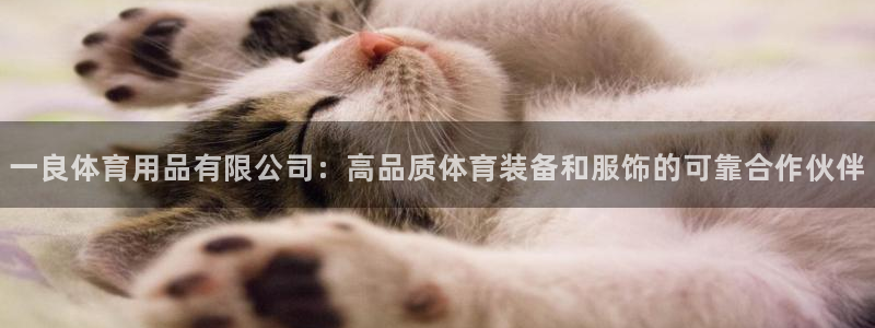 欧陆娱乐平台咋样赚钱：一良体育用品有限公司：高品质体
