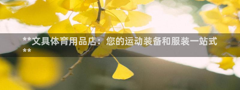 欧陆娱乐讲7O777：**文具体育用品店：您的运动装