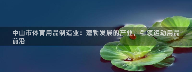 欧陆娱乐怎么注册会员：中山市体育用品制造业：蓬勃发展