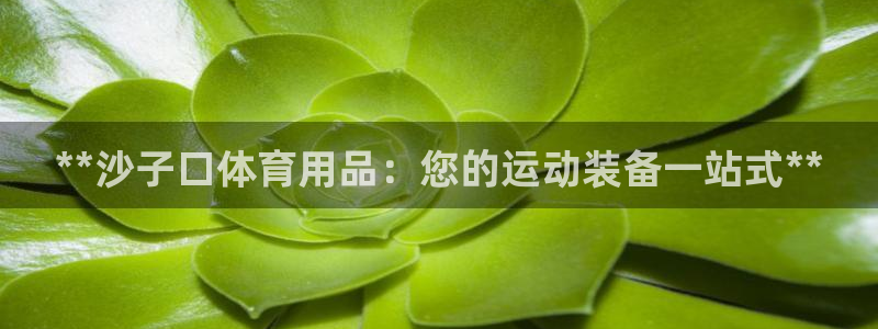 欧陆娱乐平台咋样赚钱快：**沙子口体育用品：您的运动