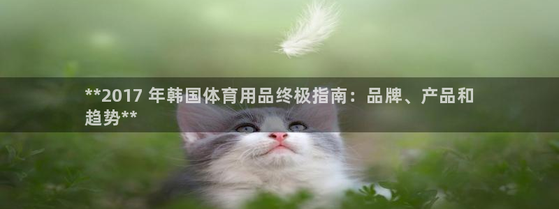 欧陆商城：**2017 年韩国体育用品终极指南：品牌