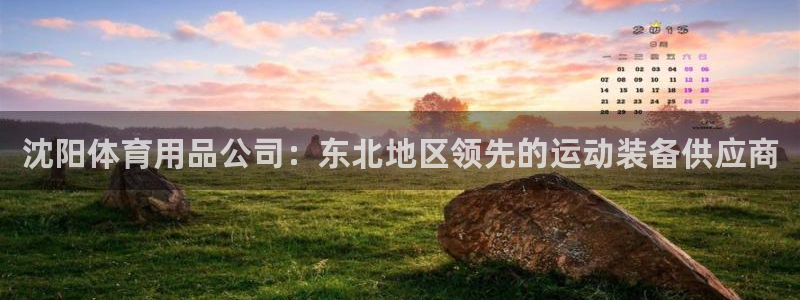欧陆娱乐平台登陆地址在哪改：沈阳体育用品公司：东北地