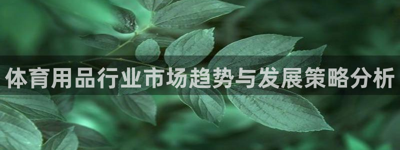 欧陆娱乐安全吗：体育用品行业市场趋势与发展策略分析