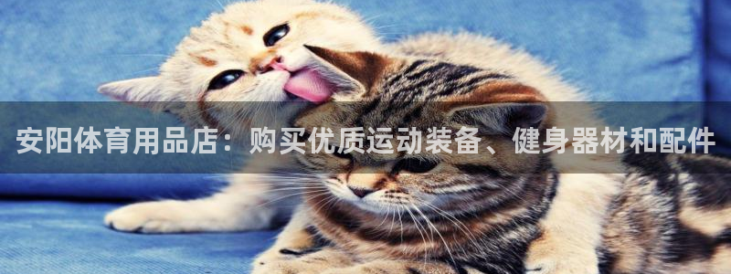 欧陆娱乐提现多久到账：安阳体育用品店：购买优质运动装