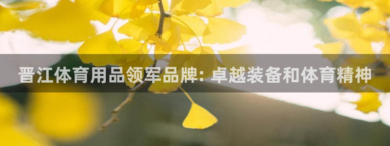 欧陆娱乐官网注册中心下载：晋江体育用品领军品牌: 卓