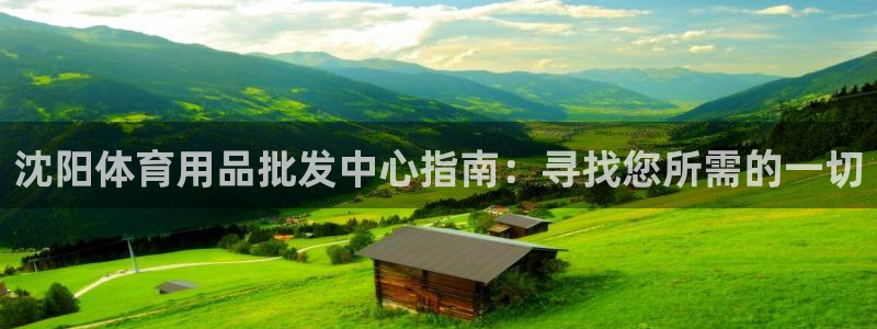 欧陆娱乐合法吗：沈阳体育用品批发中心指南：寻找您所需
