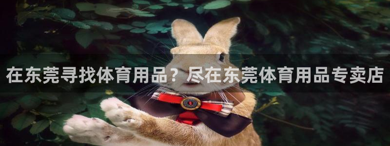 欧陆娱乐能赚钱吗：在东莞寻找体育用品？尽在东莞体育用