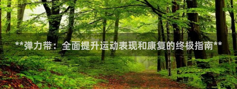 欧陆娱乐官网网址：**弹力带：全面提升运动表现和康复