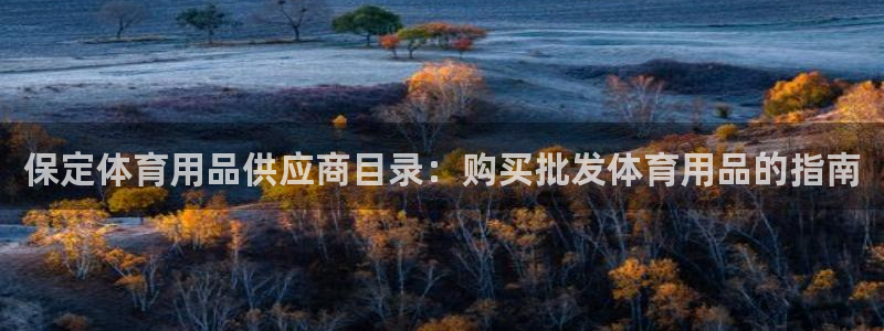 欧陆娱乐平台登陆地址在哪看：保定体育用品供应商目录：