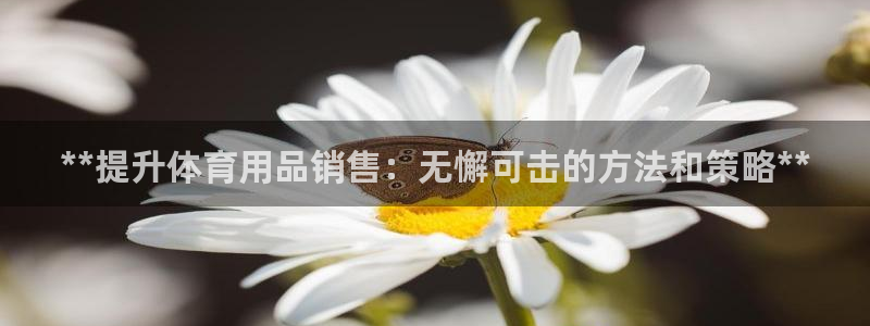 欧陆娱乐官网下载安装手机版：**提升体育用品销售：无