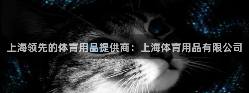 欧陆娱乐出款：上海领先的体育用品提供商：上海体育用品