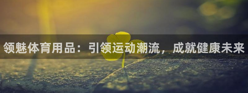 欧陆娱乐测速软件下载：领魅体育用品：引领运动潮流，成