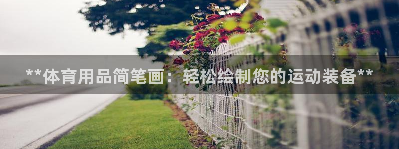欧陆娱乐登录平台官网：**体育用品简笔画：轻松绘制您