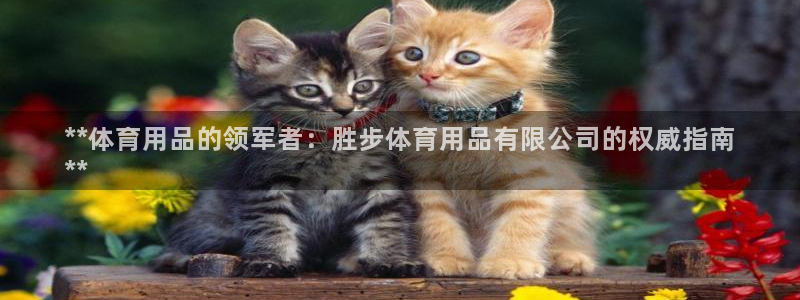 欧陆娱乐脚本：**体育用品的领军者：胜步体育用品有限