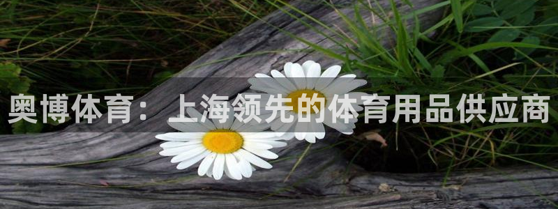 欧陆娱乐注册链接怎么弄：奥博体育：上海领先的体育用品