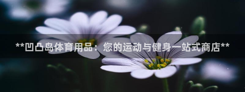 欧陆娱乐总代理电话：**凹凸岛体育用品：您的运动与健