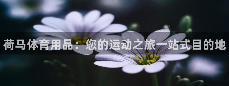 欧陆娱乐客服电话人工服务热线：荷马体育用品：您的运动