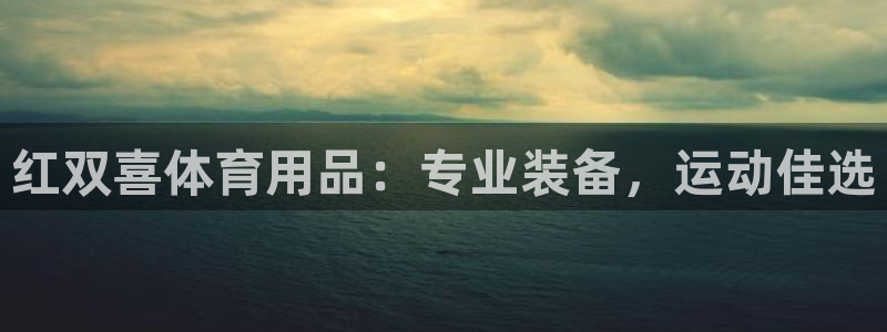 欧陆娱乐注册代理多少钱：红双喜体育用品：专业装备，运