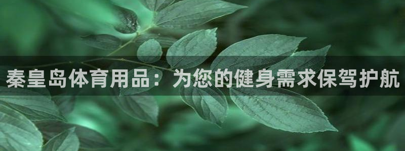 欧陆娱乐登录官网：秦皇岛体育用品：为您的健身需求保驾