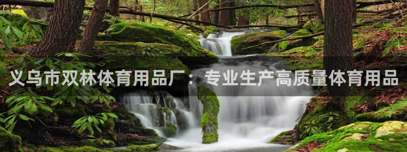 欧陆娱乐计划预测软件哪个好：义乌市双林体育用品厂：专