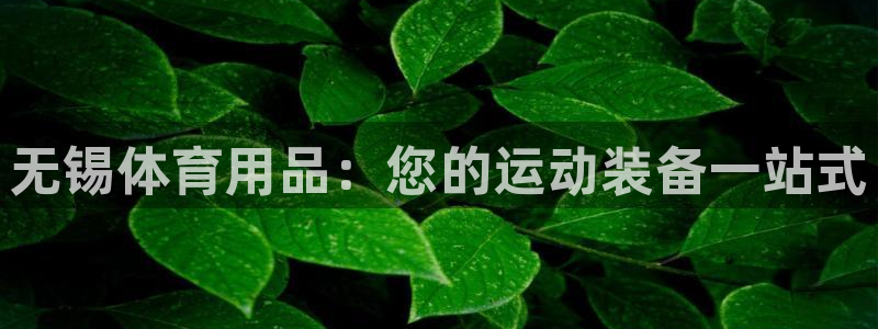 欧陆娱乐分分彩：无锡体育用品：您的运动装备一站式