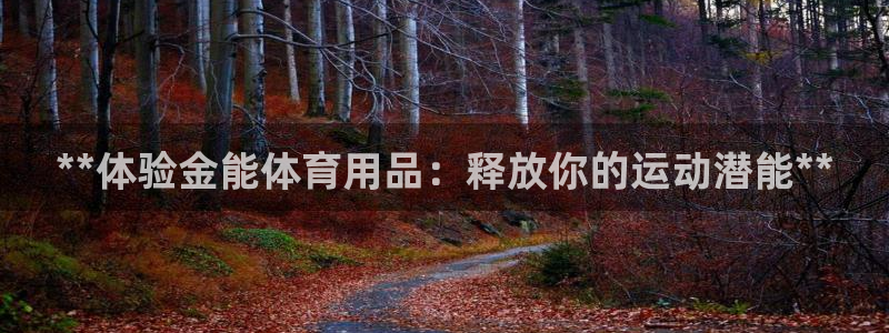 欧陆注册码：**体验金能体育用品：释放你的运动潜能*