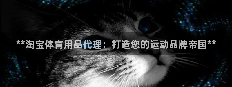 欧陆娱乐注册代理多少钱一个月：**淘宝体育用品代理：