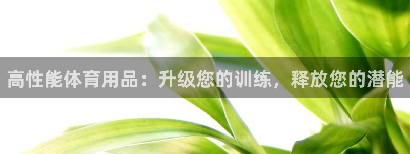 欧陆娱乐有限公司：高性能体育用品：升级您的训练，释放