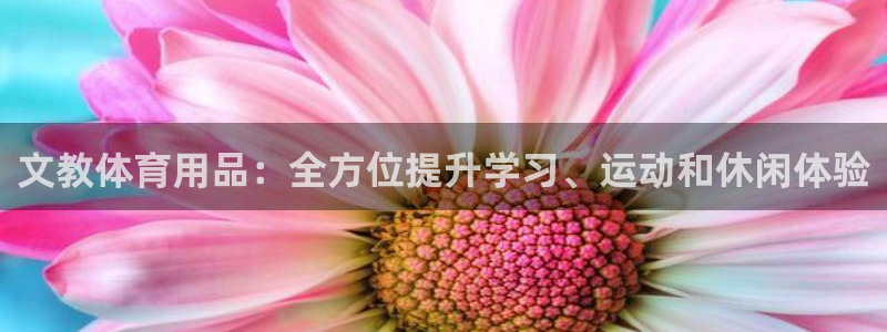 欧陆娱乐出款：文教体育用品：全方位提升学习、运动和休