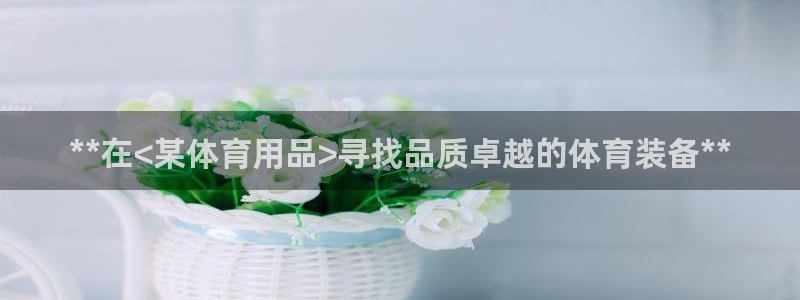 欧陆娱乐的故事有哪些：**在<某体育用品>寻找品质卓