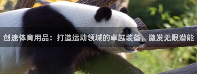 欧陆娱乐注册平台：创速体育用品：打造运动领域的卓越装