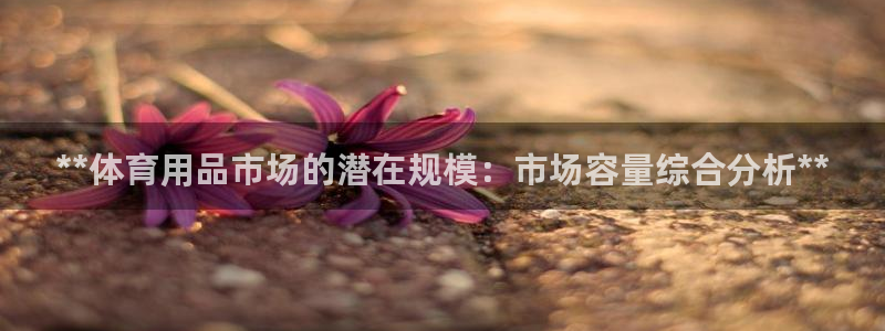 欧陆娱乐官网：**体育用品市场的潜在规模：市场容量综