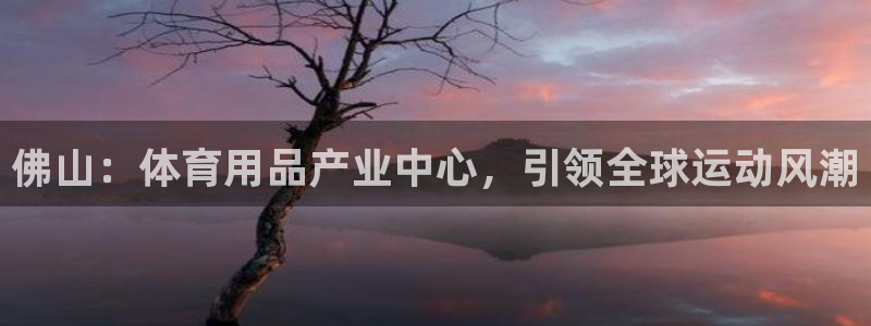 欧陆娱乐平台登陆地址在哪看：佛山：体育用品产业中心，
