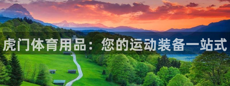 欧陆娱乐公司产品介绍图片：虎门体育用品：您的运动装备